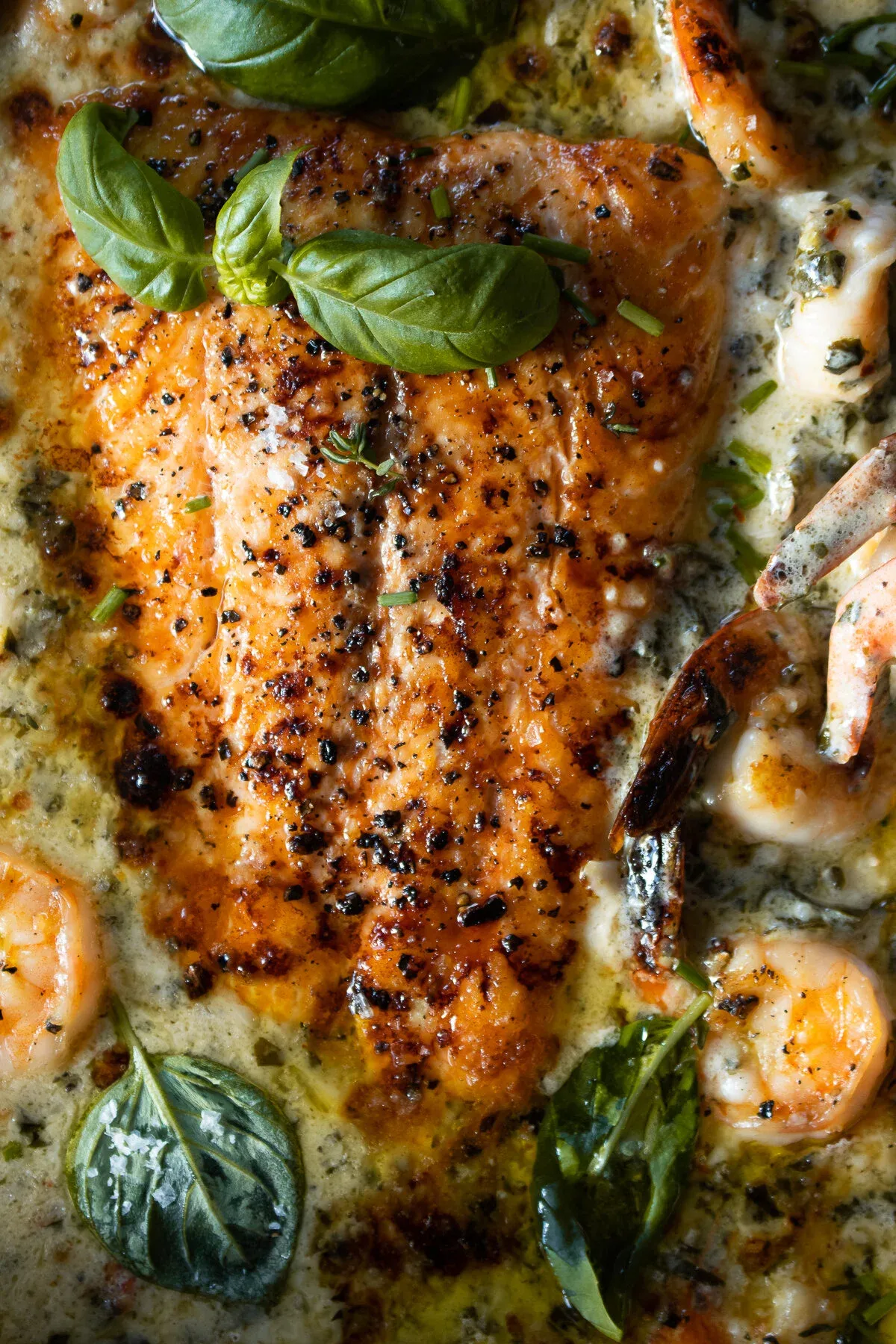 Close-up overhead shot of the seared salmon fillet in the coconut milk shrimp sauce