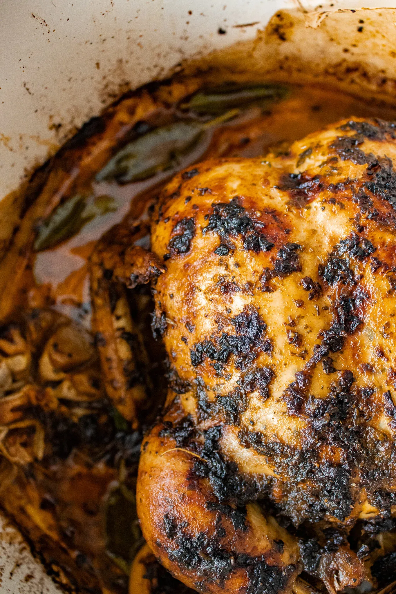 Tight angled close-up of the whole roasted chicken's breast and wing