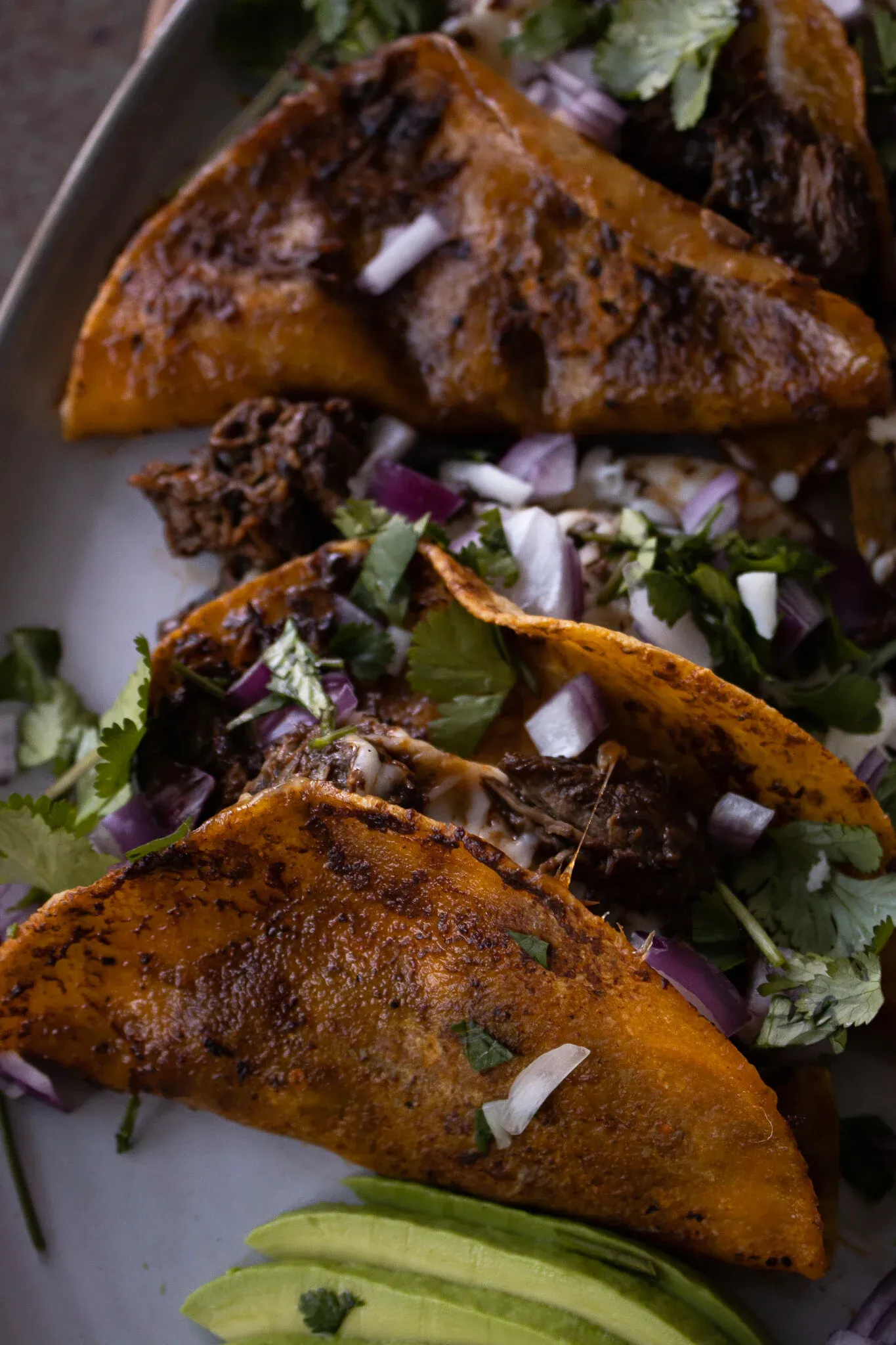 Angled close-up of two large Not Birria Beef Tacos on the white platter