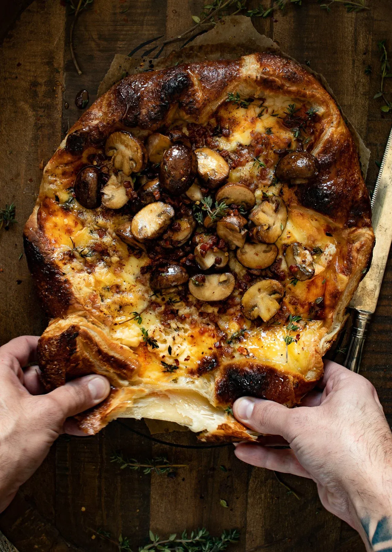 Overhead view of puff pastry wrapped brie with pancetta and mushrooms being torn open by two hands on parchment paper