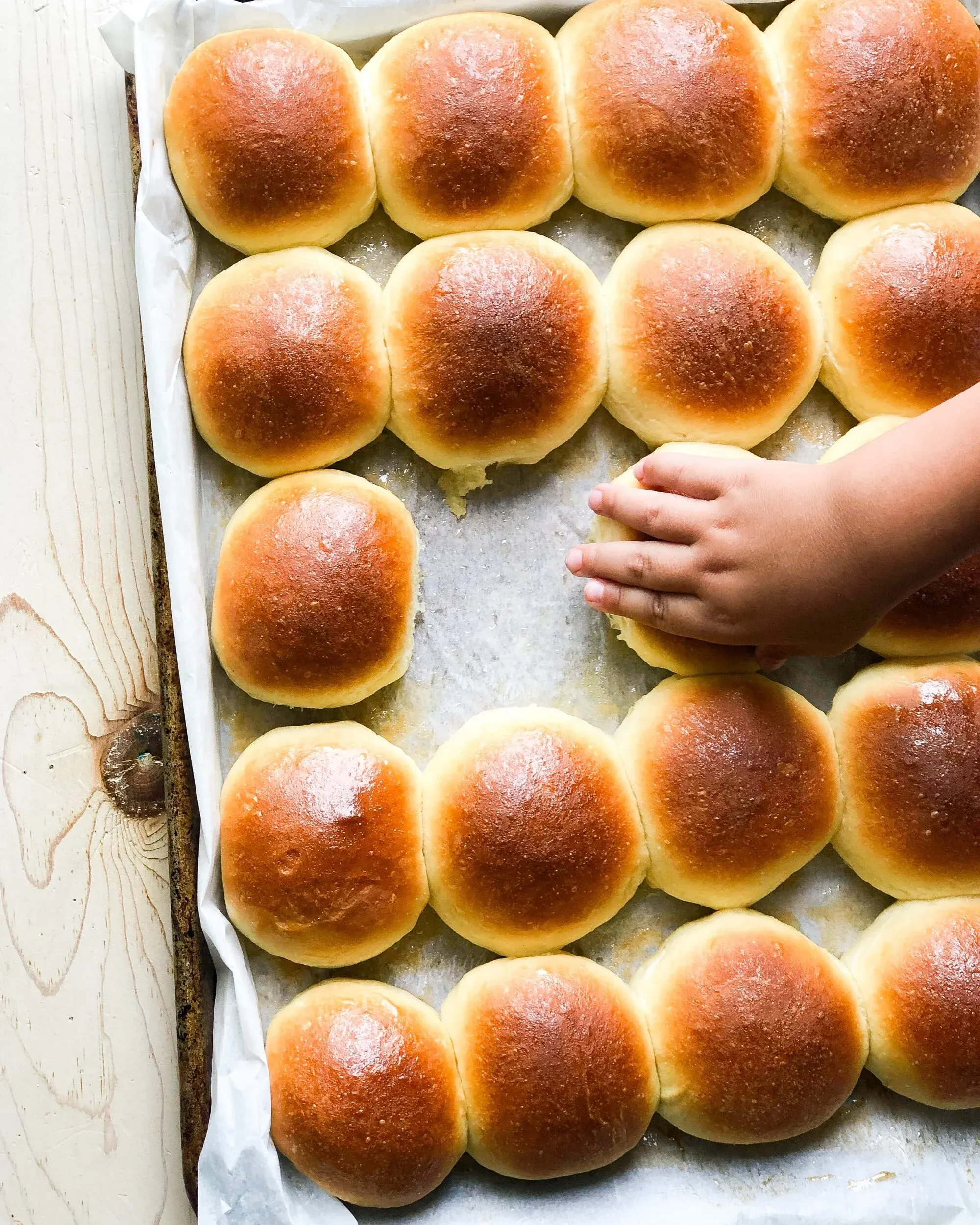 Rows of honey bread rolls with deep golden-brown glossy domed tops packed tightly in a parchment-lined baking pan